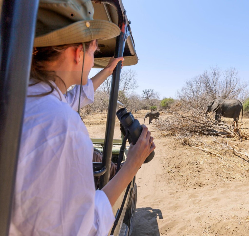 Serengeti Visitor